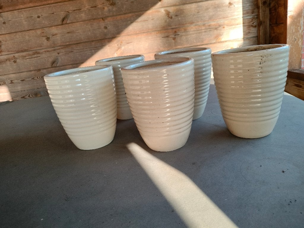 5 bloempotten, Ophalen, Gebruikt, Binnen, Minder dan 40 cm