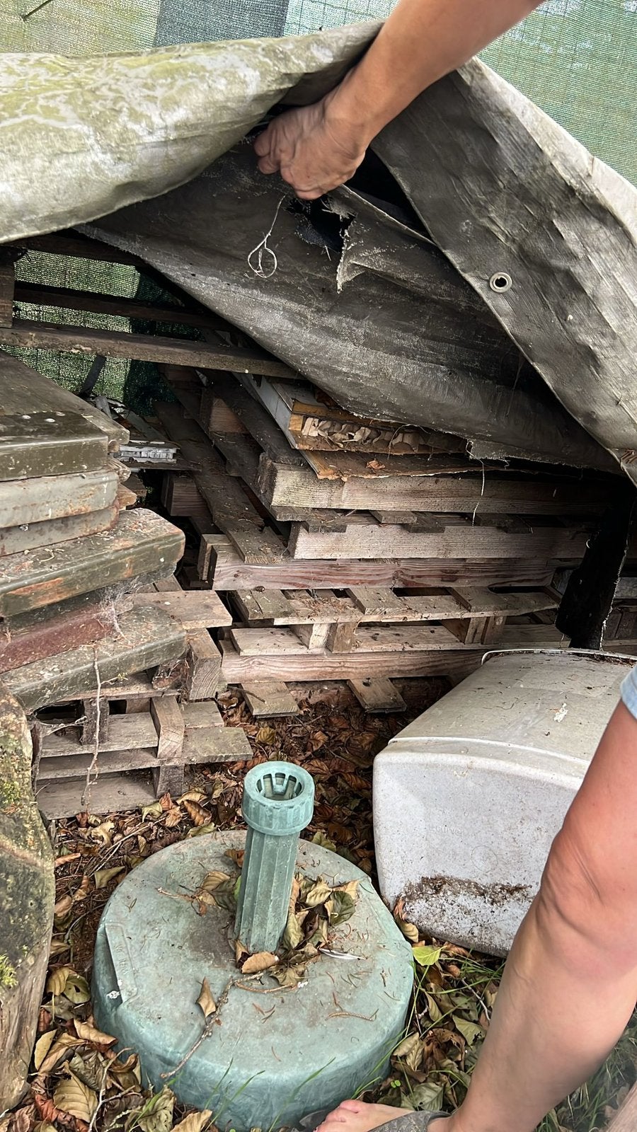 Pallet hout, Tuin en Terras, Ophalen, Zo goed als nieuw, Hout