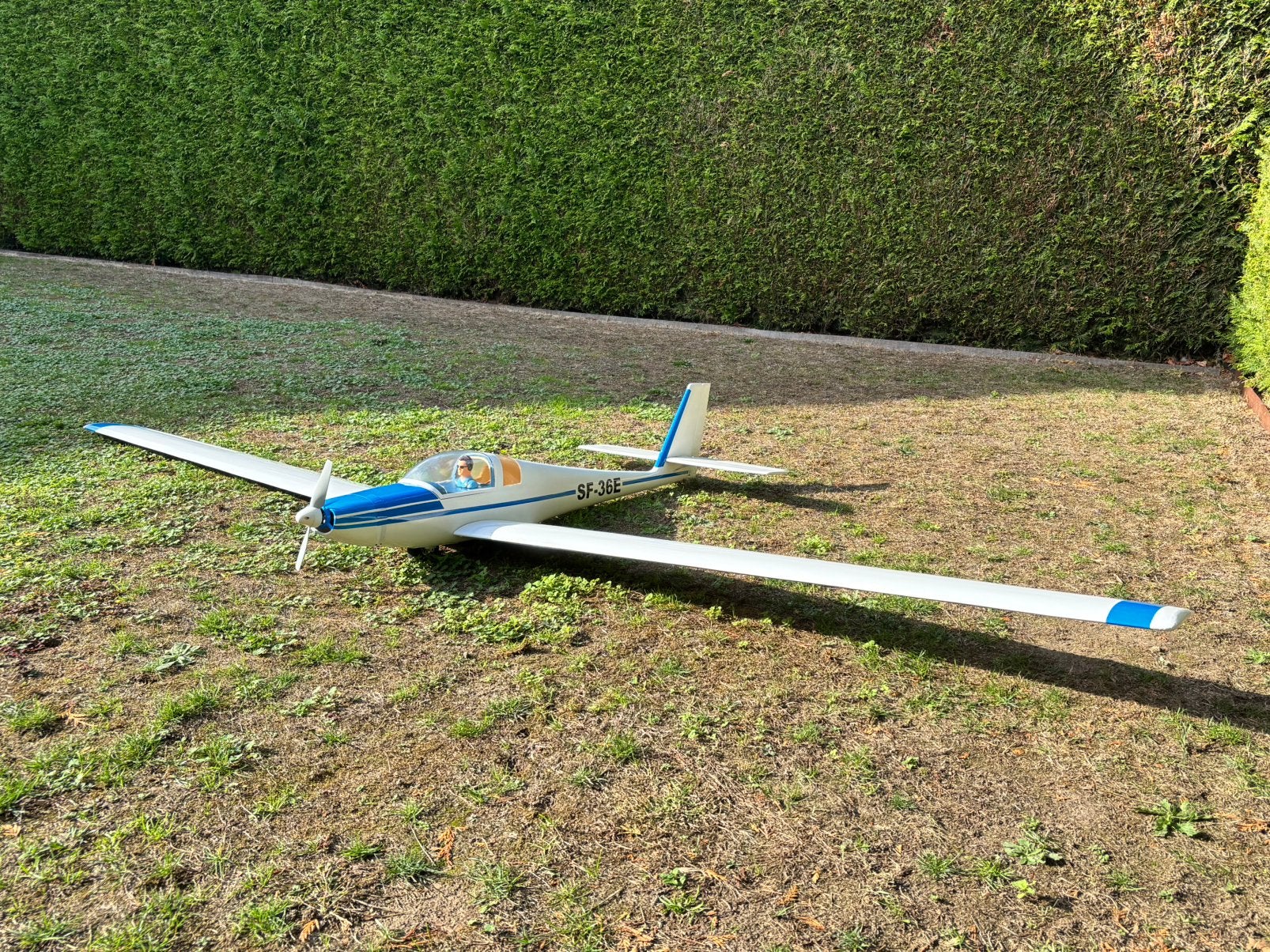 Motoplaneur SF36, Enlèvement, Utilisé, Électro