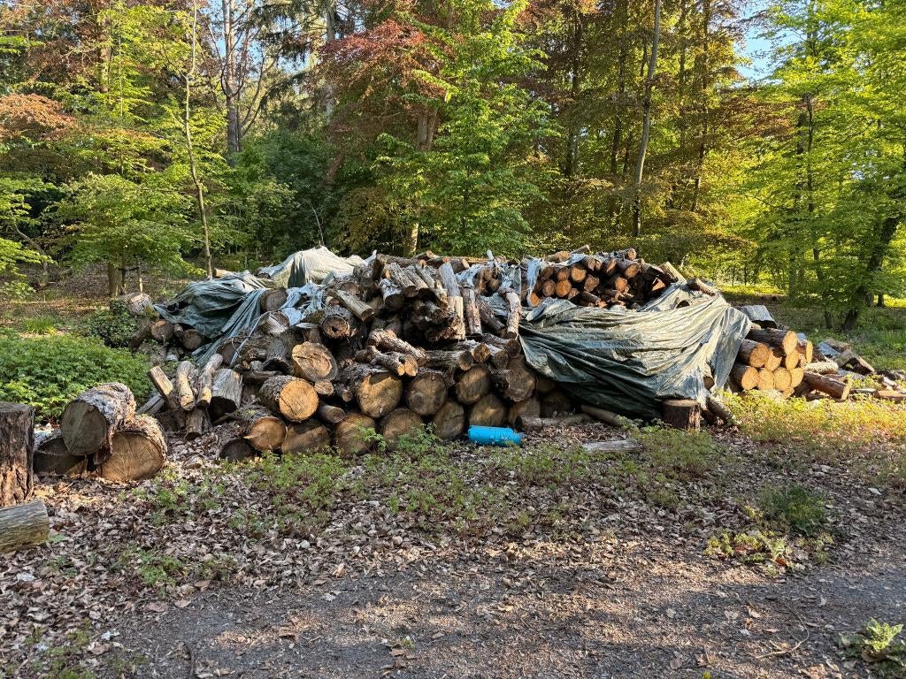 Hout op te halen, Tuin en Terras, Brandhout, Ophalen, Overige houtsoorten, Stammen