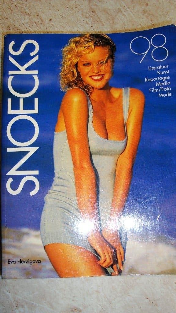 Boek, Boeken, Ophalen of Verzenden, Zo goed als nieuw