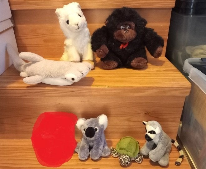 Peluches: animaux de zoo, Enlèvement, Utilisé