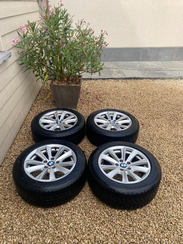 BMW velgen 17” met banden KOOPJE!, Ophalen, Gebruikt, 255 mm, 17 inch