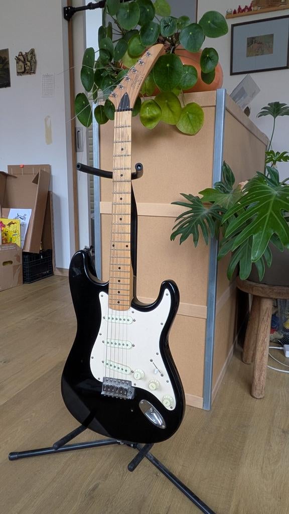 Elektrische gitaar Stinger, Enlèvement