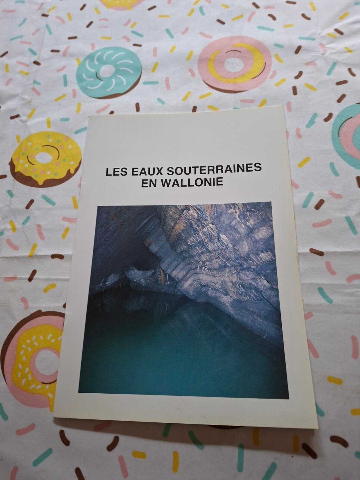 Les ezyx souterraines en Wallonie., Enlèvement ou Envoi