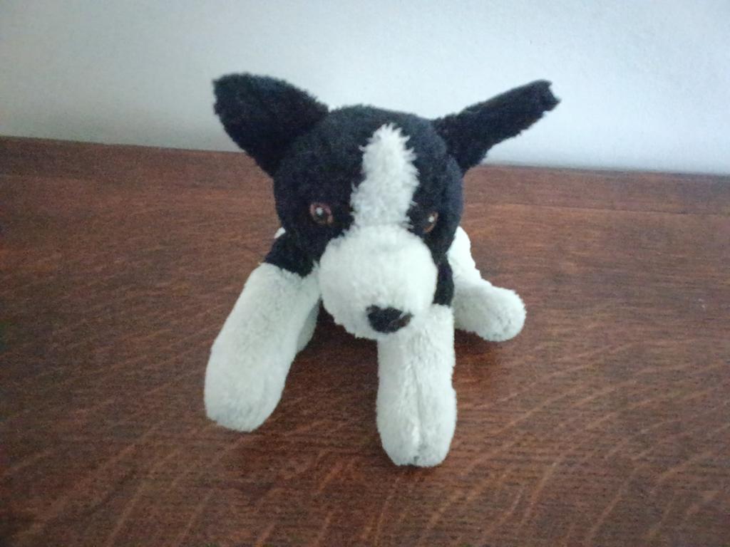 Peluche chien taille 10 cm a venir chercher, Kinderen en Baby's, Speelgoed | Knuffels en Pluche, Hond