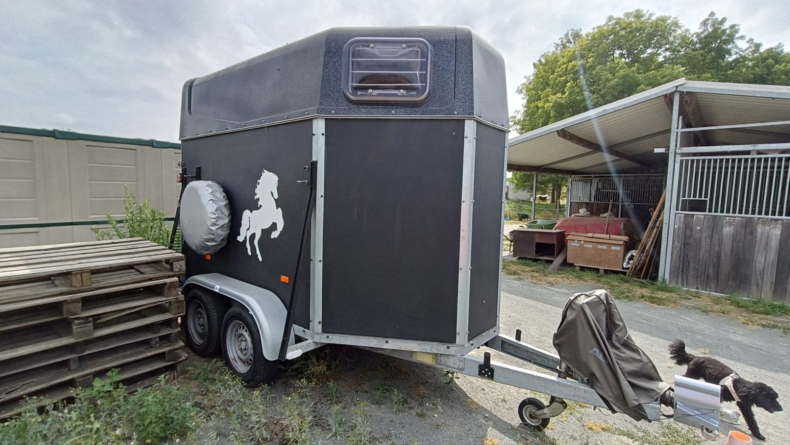 Paardentrailer MARO, 2 paarden., Dieren en Toebehoren, Paarden en Pony's | Trailers en Aanhangwagens, Ophalen