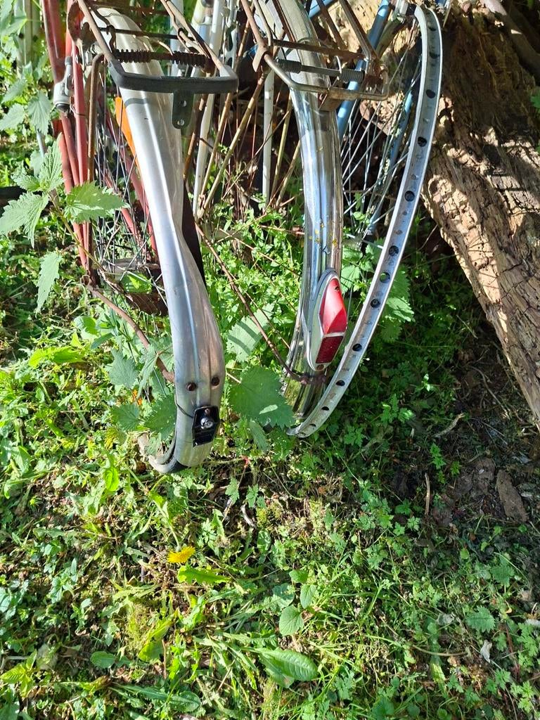 Vieux vélos, Vélos & Vélomoteurs