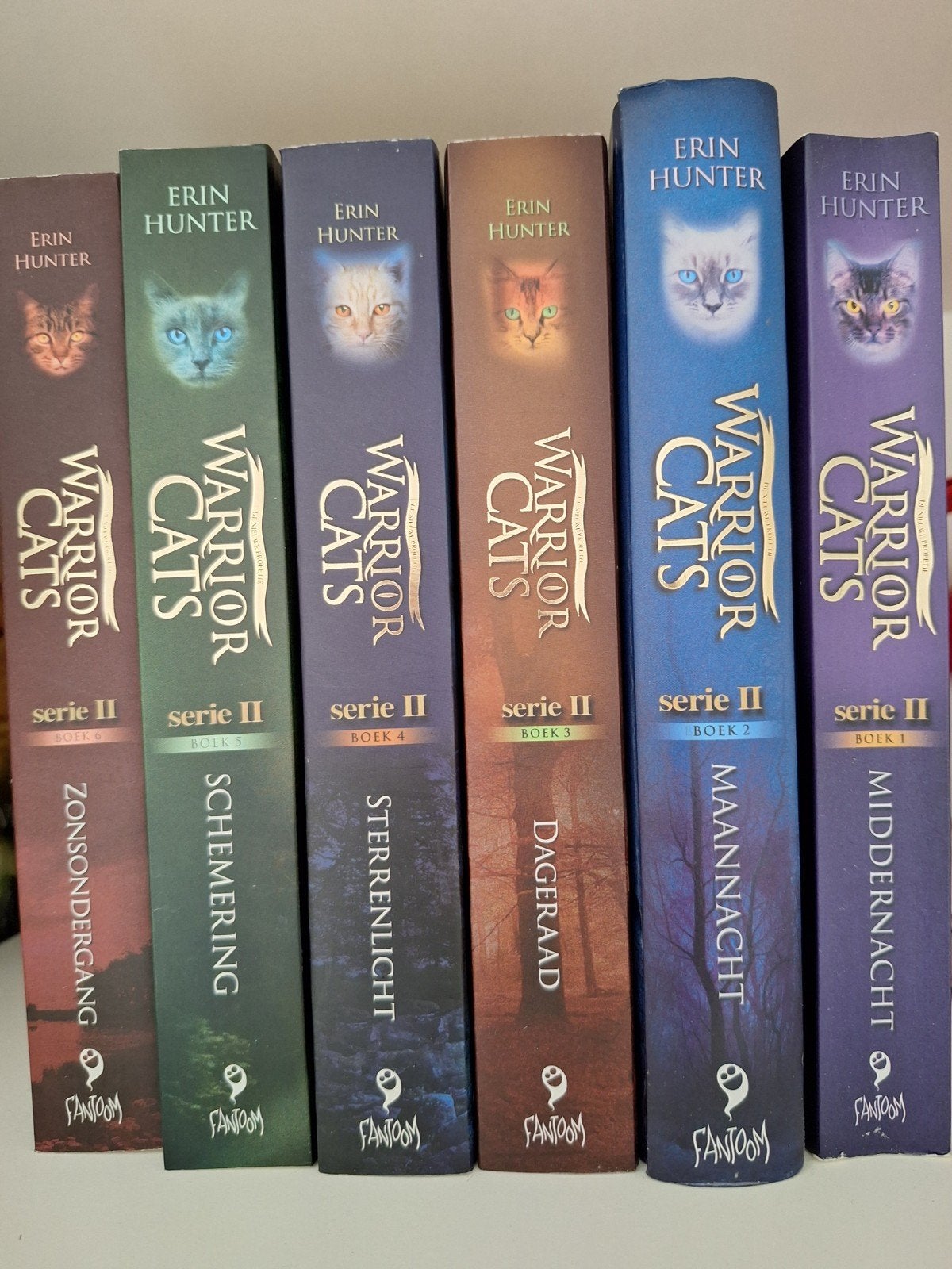 Warrior cats, Enlèvement, Neuf