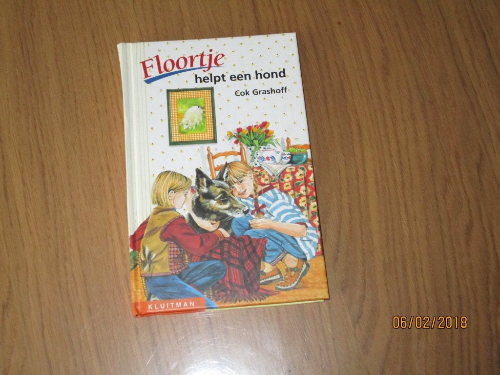 boek floortje helpt een hond, Enlèvement ou Envoi, Comme neuf