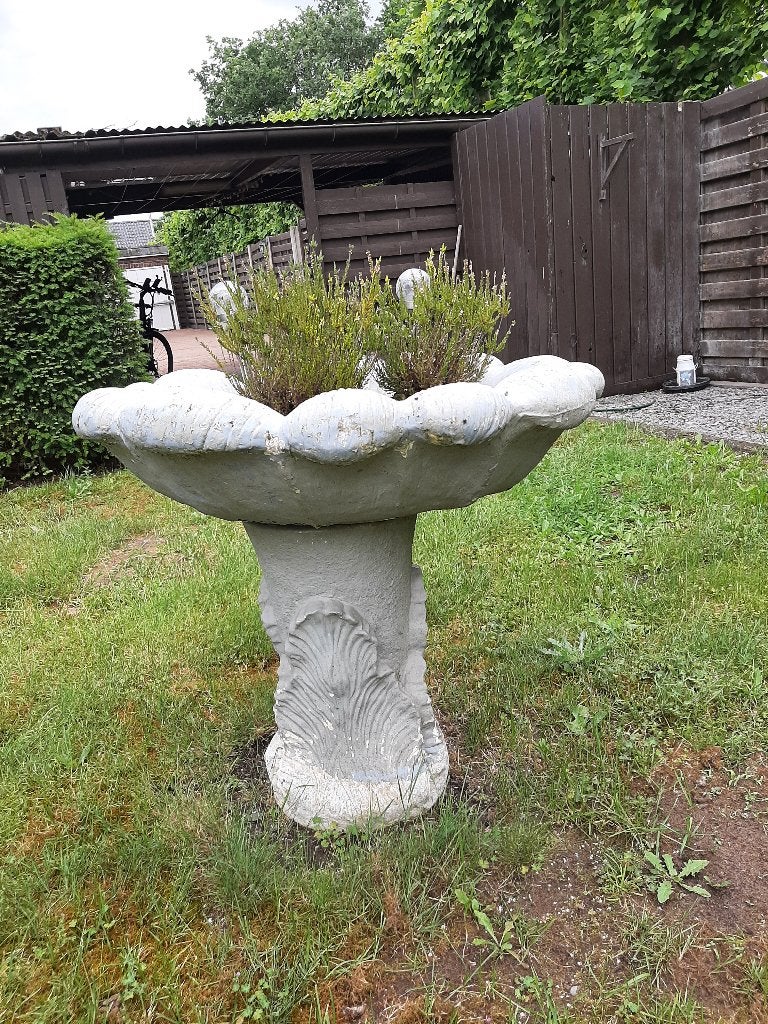 Planten-/Drinkbak op sokkel  -  Tuinornament, Jardin & Terrasse, Statues de jardin, Utilisé, Autres types, Béton, Enlèvement