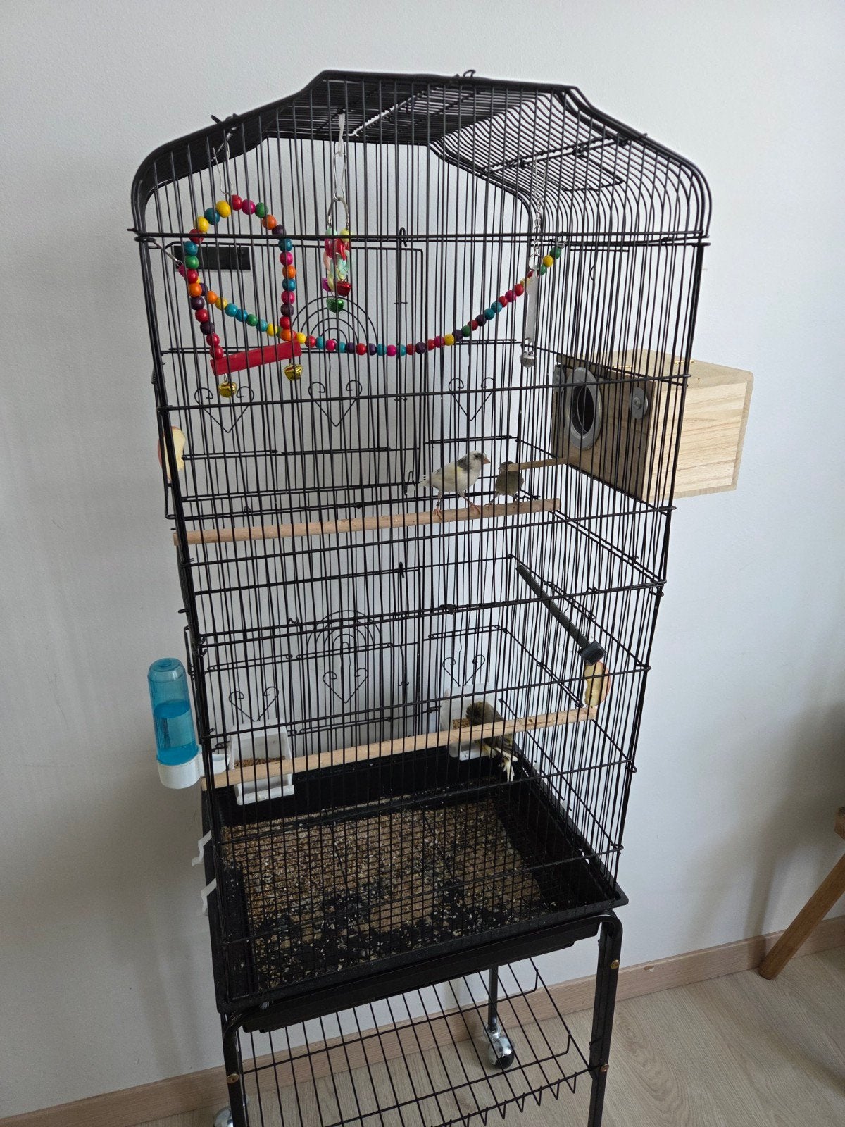 Cage volière complet, Enlèvement ou Envoi, Volière
