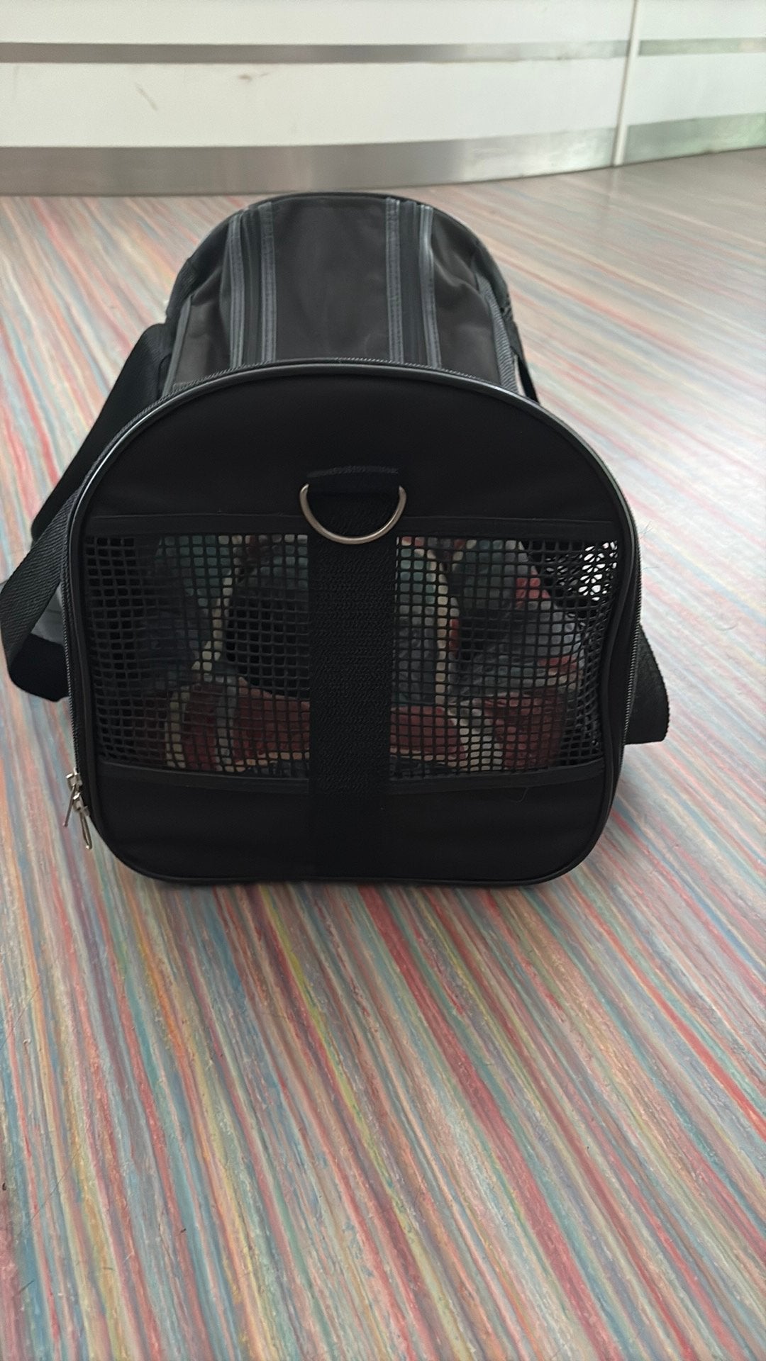 Katten transportbakje, Ophalen, Zo goed als nieuw