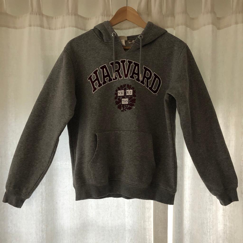 H&M sweatshirt voor dames, Kleding | Dames, Truien en Vesten, Ophalen, Gedragen, Grijs