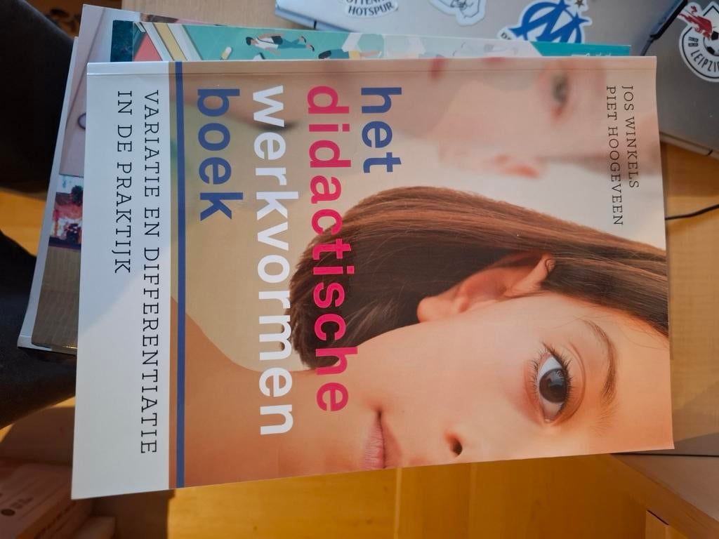 Het didactische werkvormen boek, Boeken, Ophalen of Verzenden