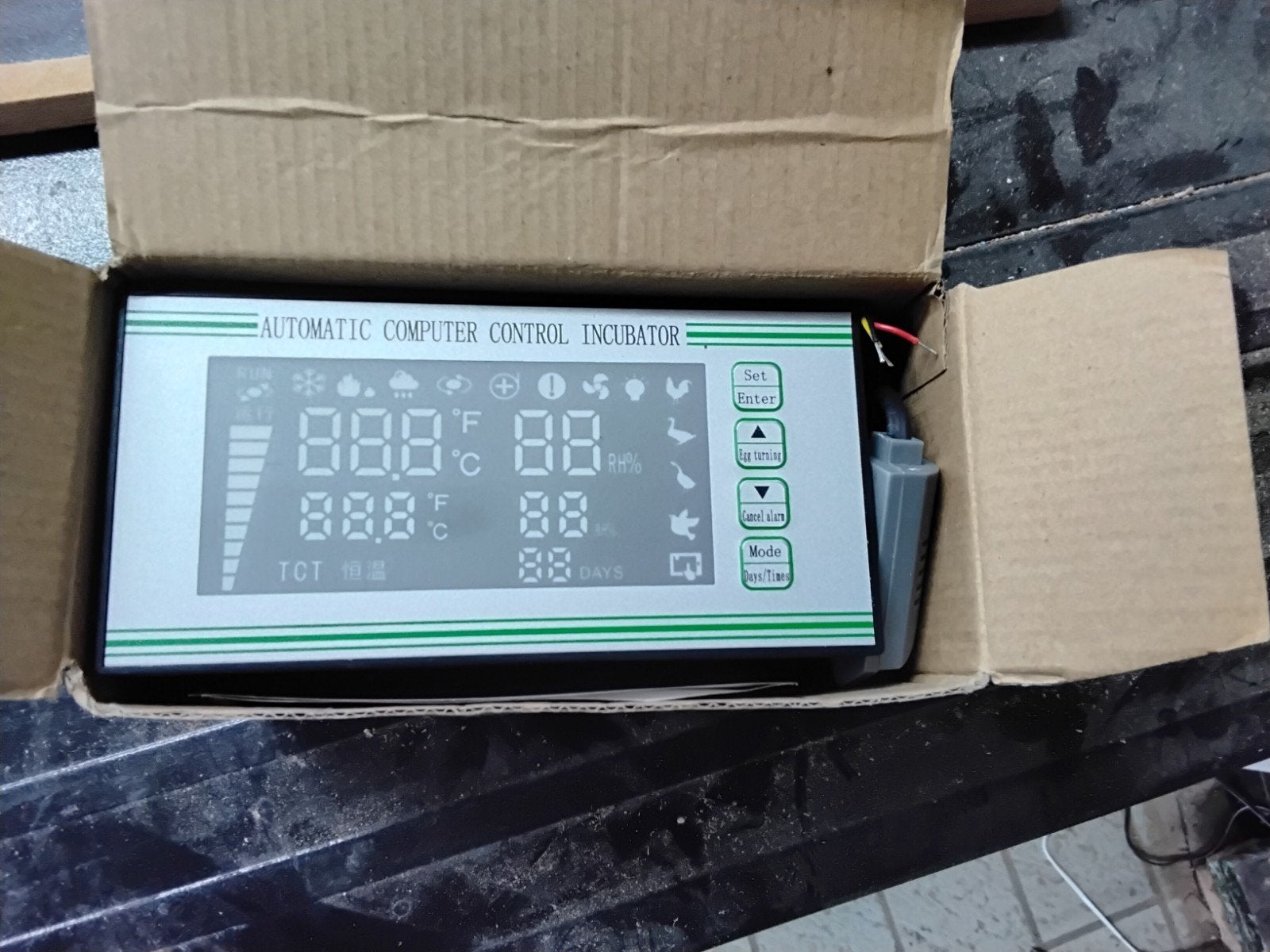 thermostat d'incubateur, Enlèvement ou Envoi, Couveuse