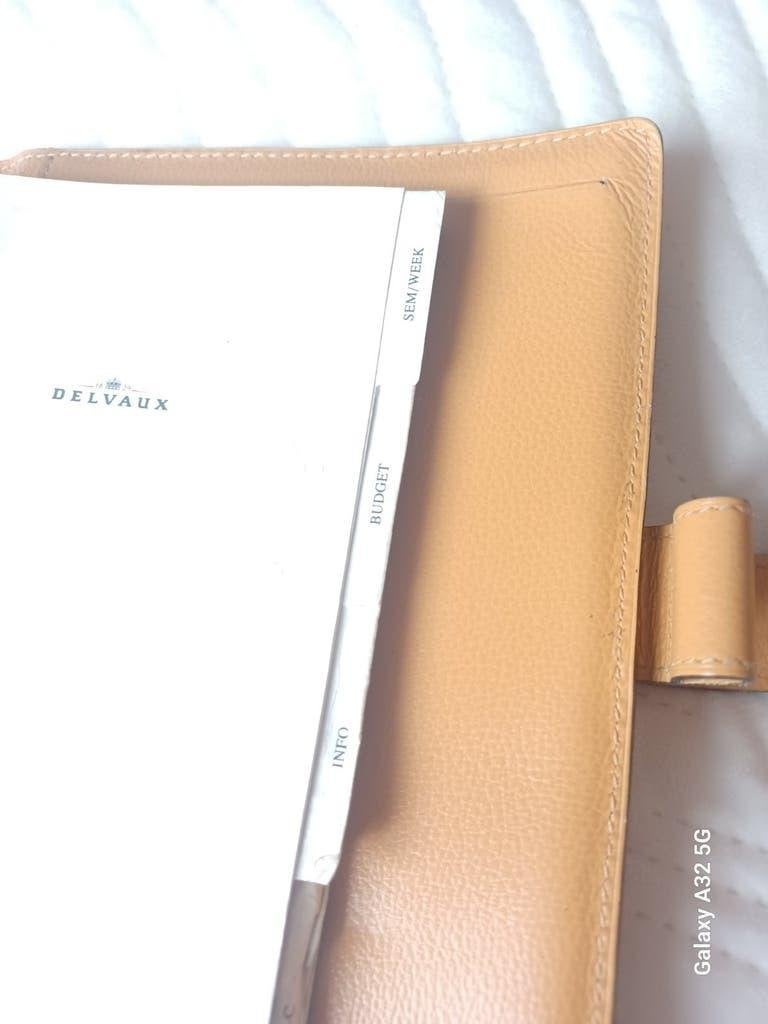 DELVAUX Agenda MODULA GM houblon siglé, Verzenden
