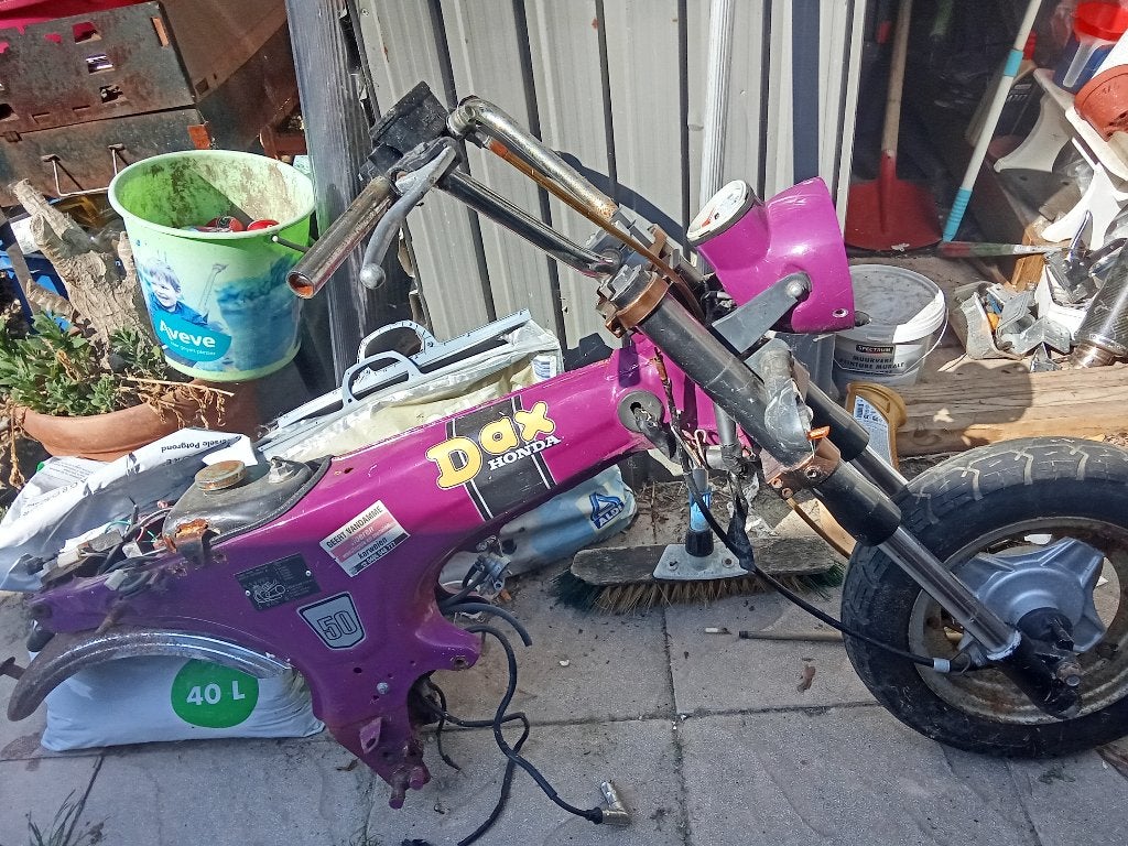 Honda Cader Dax, Enlèvement