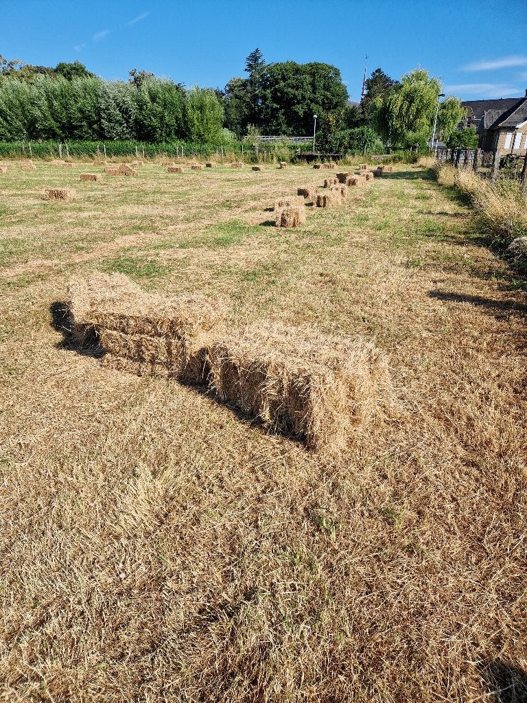 kleine pakjes hooi, Dieren en Toebehoren, Ophalen, Vee