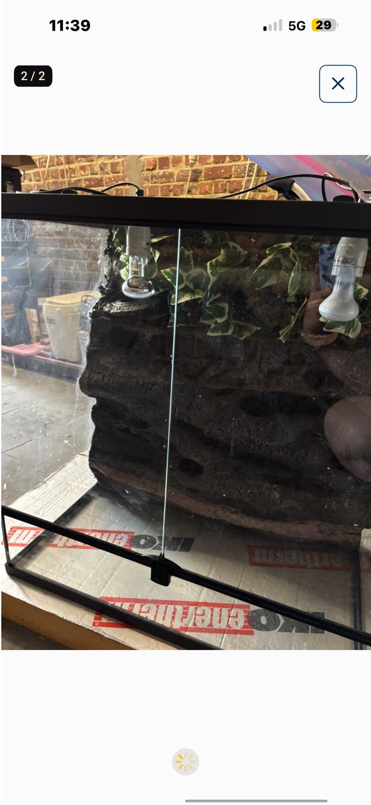 Terrarium met achterwand, Enlèvement, Comme neuf