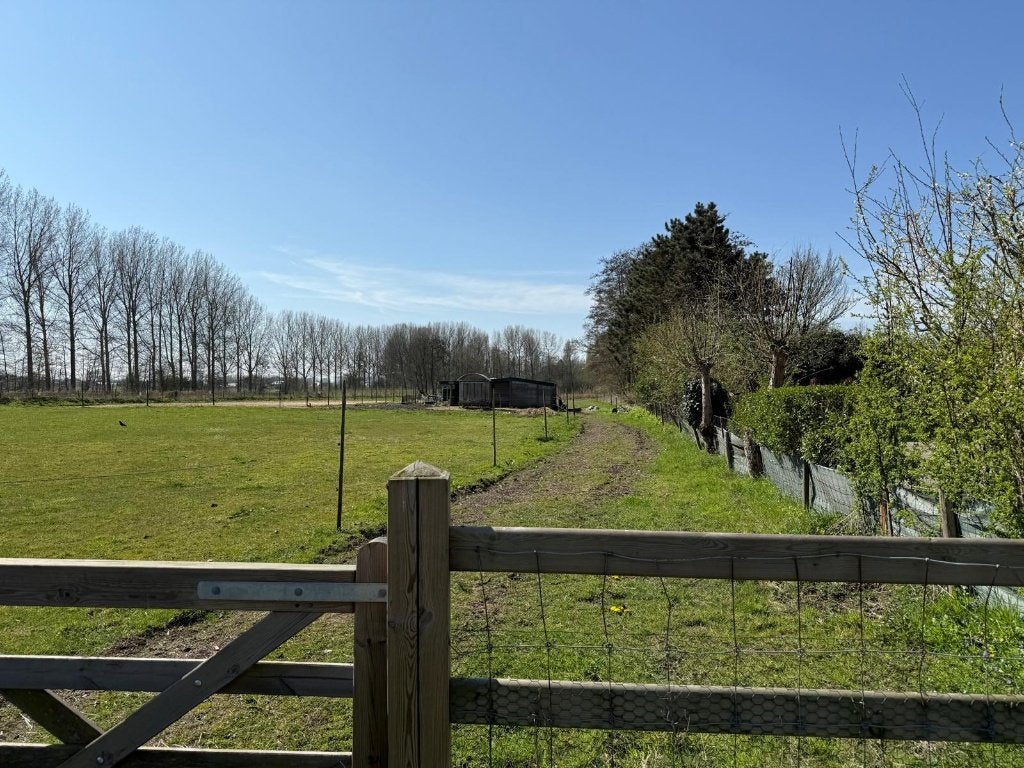 Weide/Paddock te huur Hamme-Zogge, 2 ou 3 chevaux ou poneys