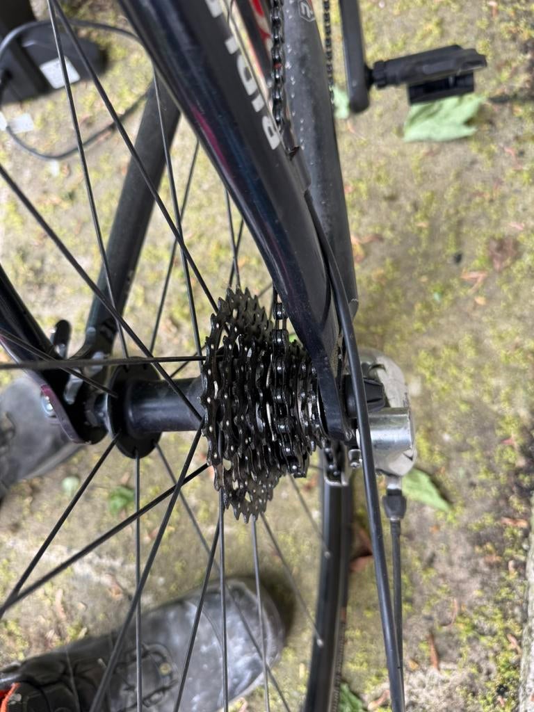 Ridley + Tacx Flux, Vélos & Vélomoteurs, Vélos | Hommes | Vélos de sport & Vélo de randonnée, Comme neuf, Enlèvement