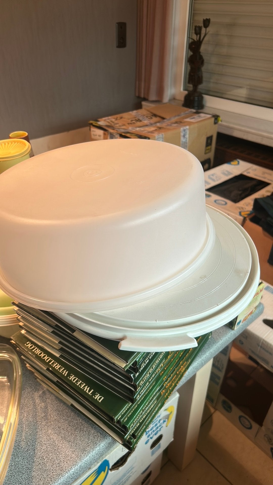 Lot (Tupperware) doosjes/ kommen en doos voor taart, Huis en Inrichting, Keuken | Servies, Ophalen, Gebruikt, Kom(men)