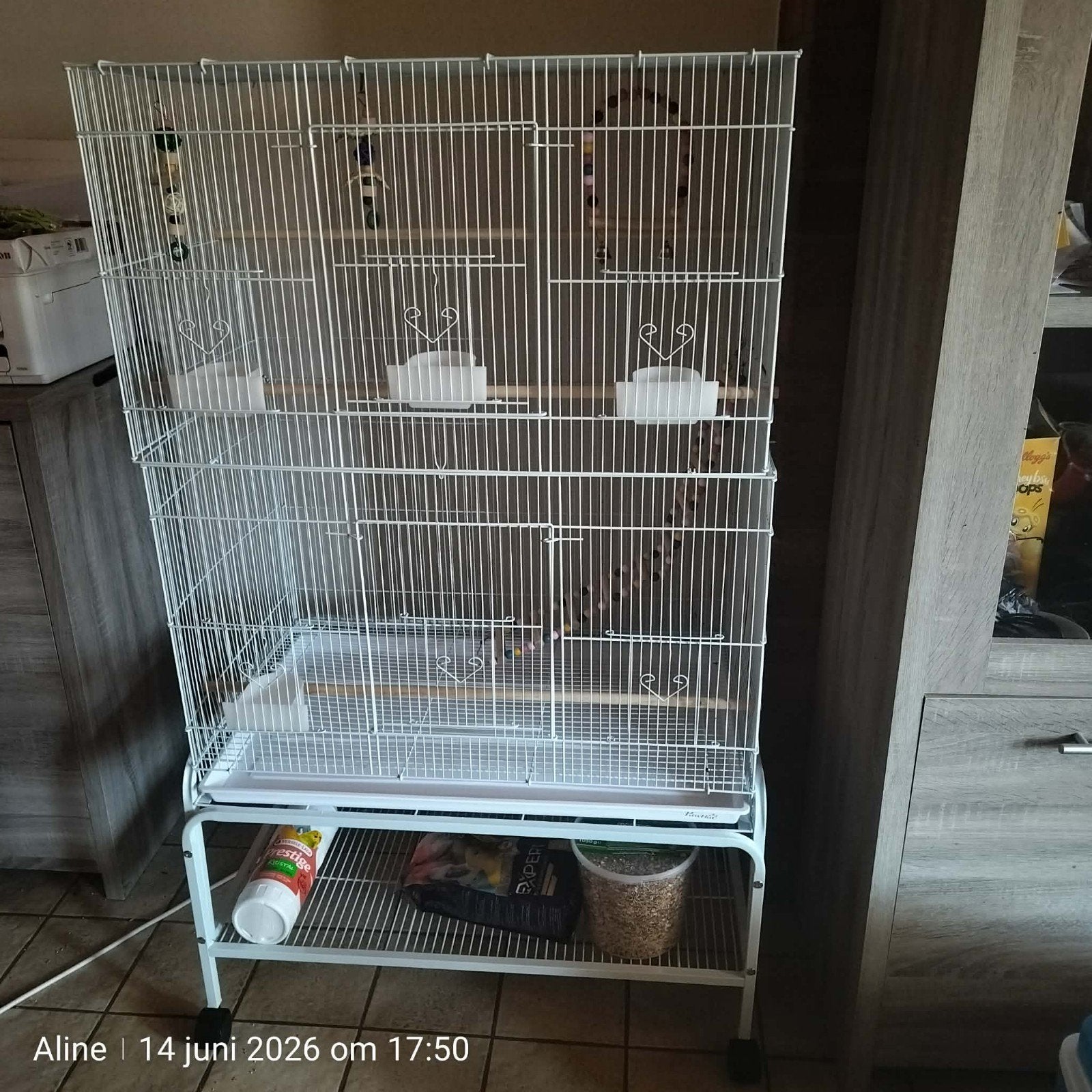 Nouvelle grande cage avec accessoires, Enlèvement