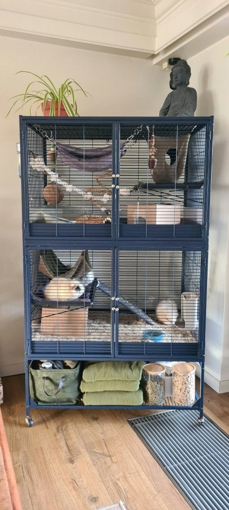 Knaagdierenkooi Savic Suite Royale Double 95, Ophalen, Kooi, Gebruikt, Chinchilla