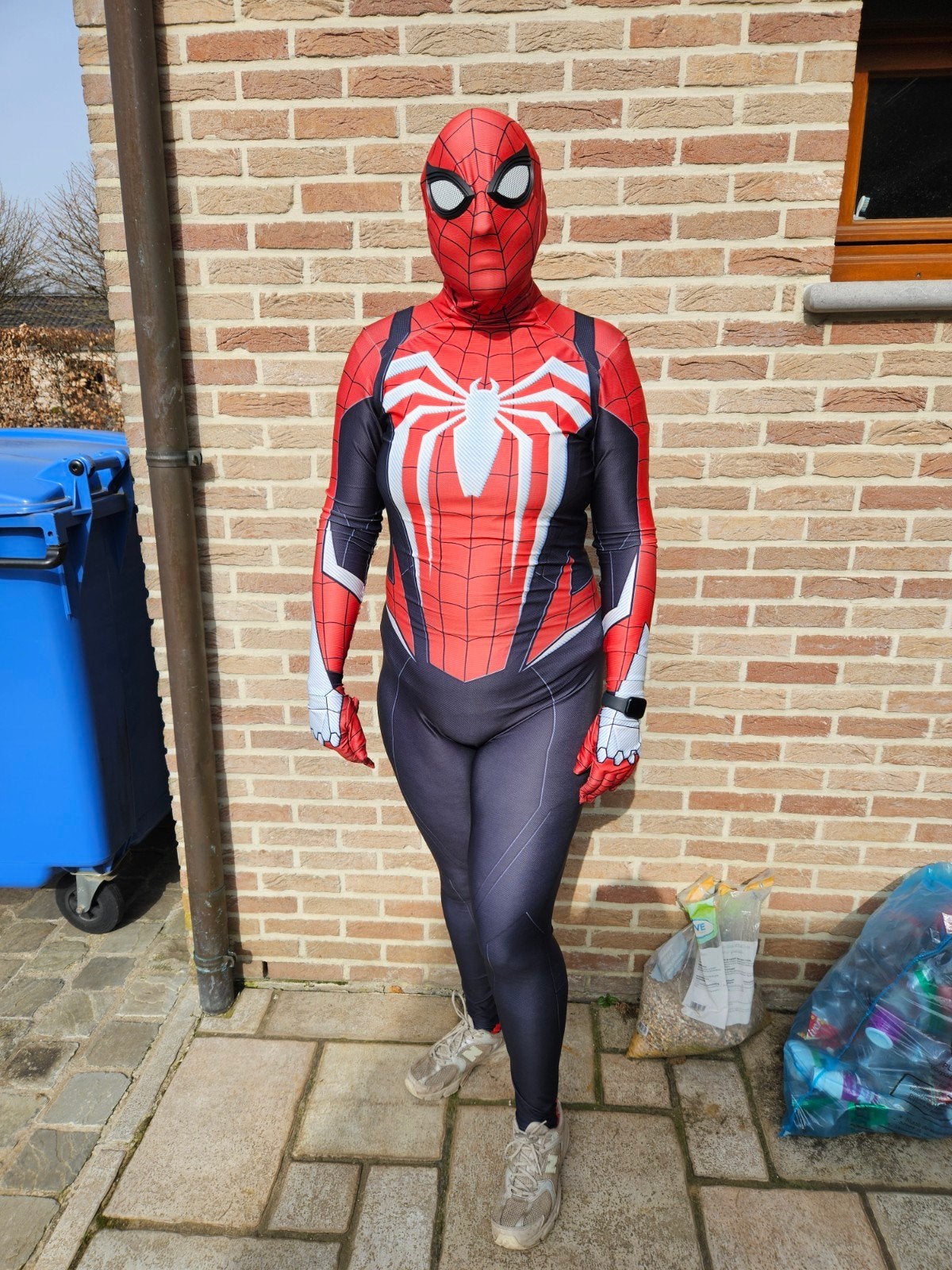 spiderman, Ophalen of Verzenden