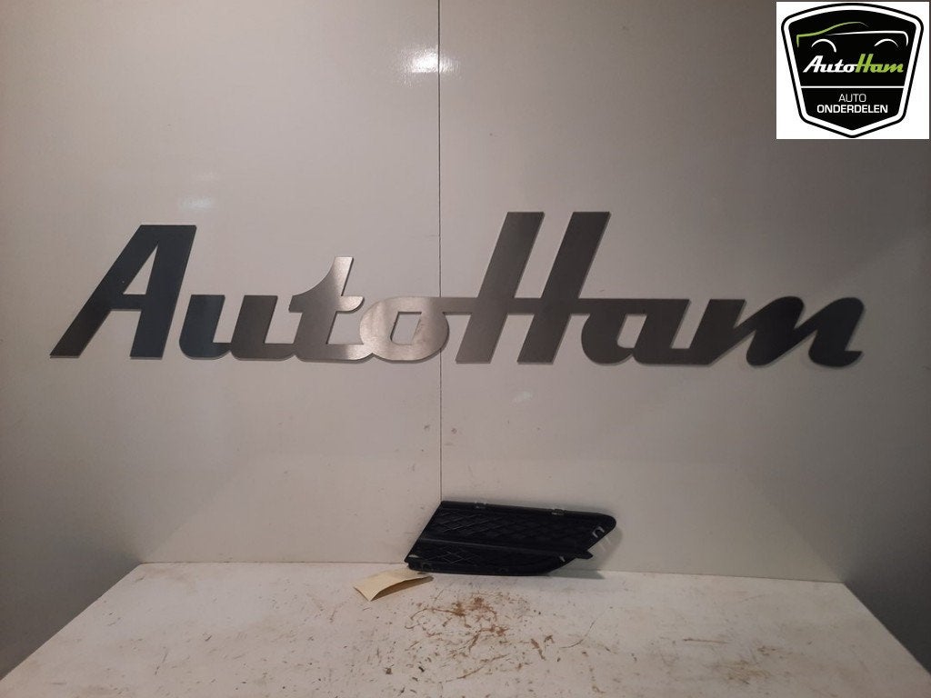 BUMPERROOSTER BMW 3 serie Touring (E91) (|51117138417|), Gebruikt, BMW