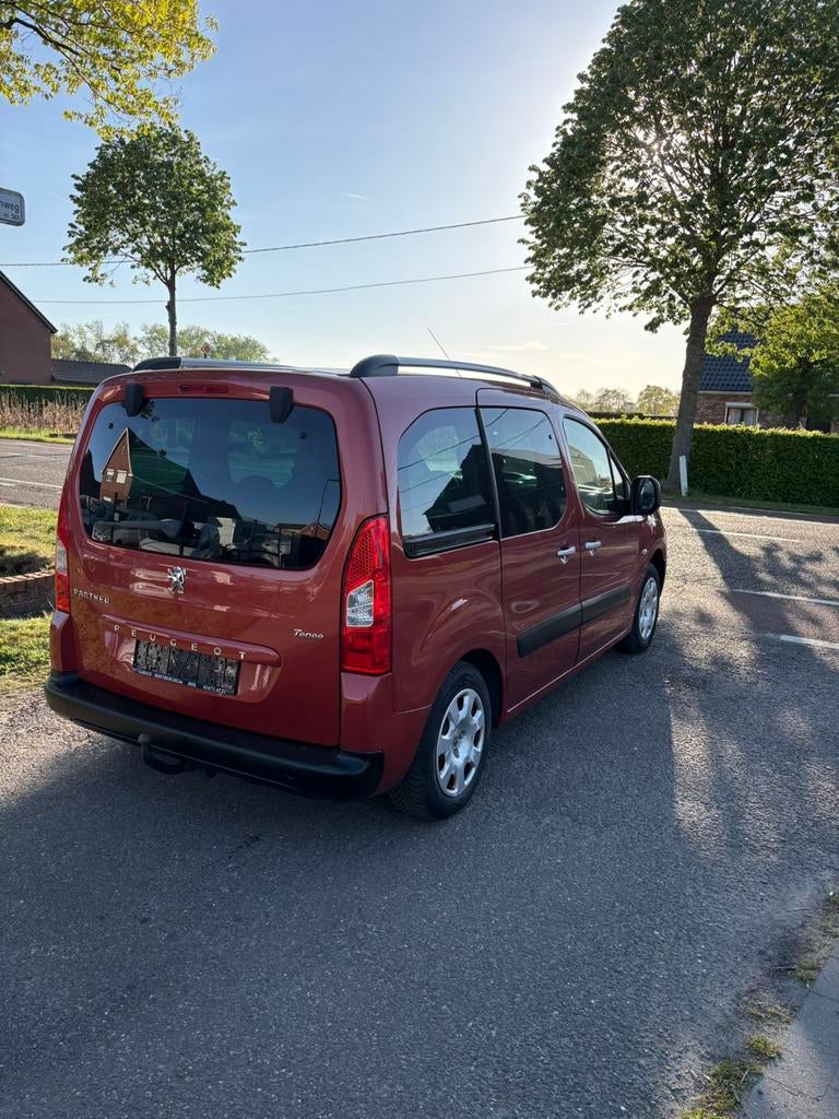 Tipi Peugeot Partner, Achat, Entreprise, Euro 4, Essence