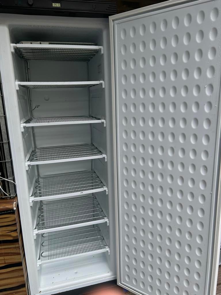 Horeca diepvrieskast en diepvrieskist, 160 cm of meer, Zo goed als nieuw, Energieklasse A of zuiniger, Ophalen