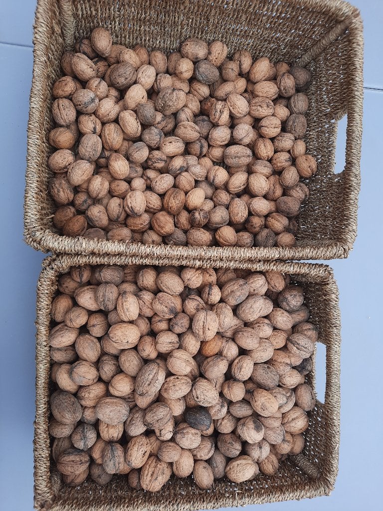 Okkernoten, Divers, Produits alimentaires, Enlèvement