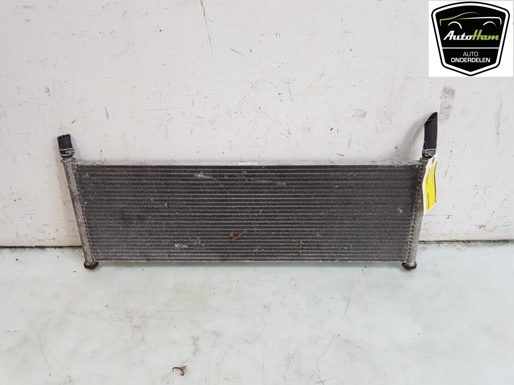RADIATEUR EAU Tesla Model X (|104849800C|104849800B|), Dhr. J. Ham, Administratie@autoham.nl, Utilisé, Autres marques automobiles
