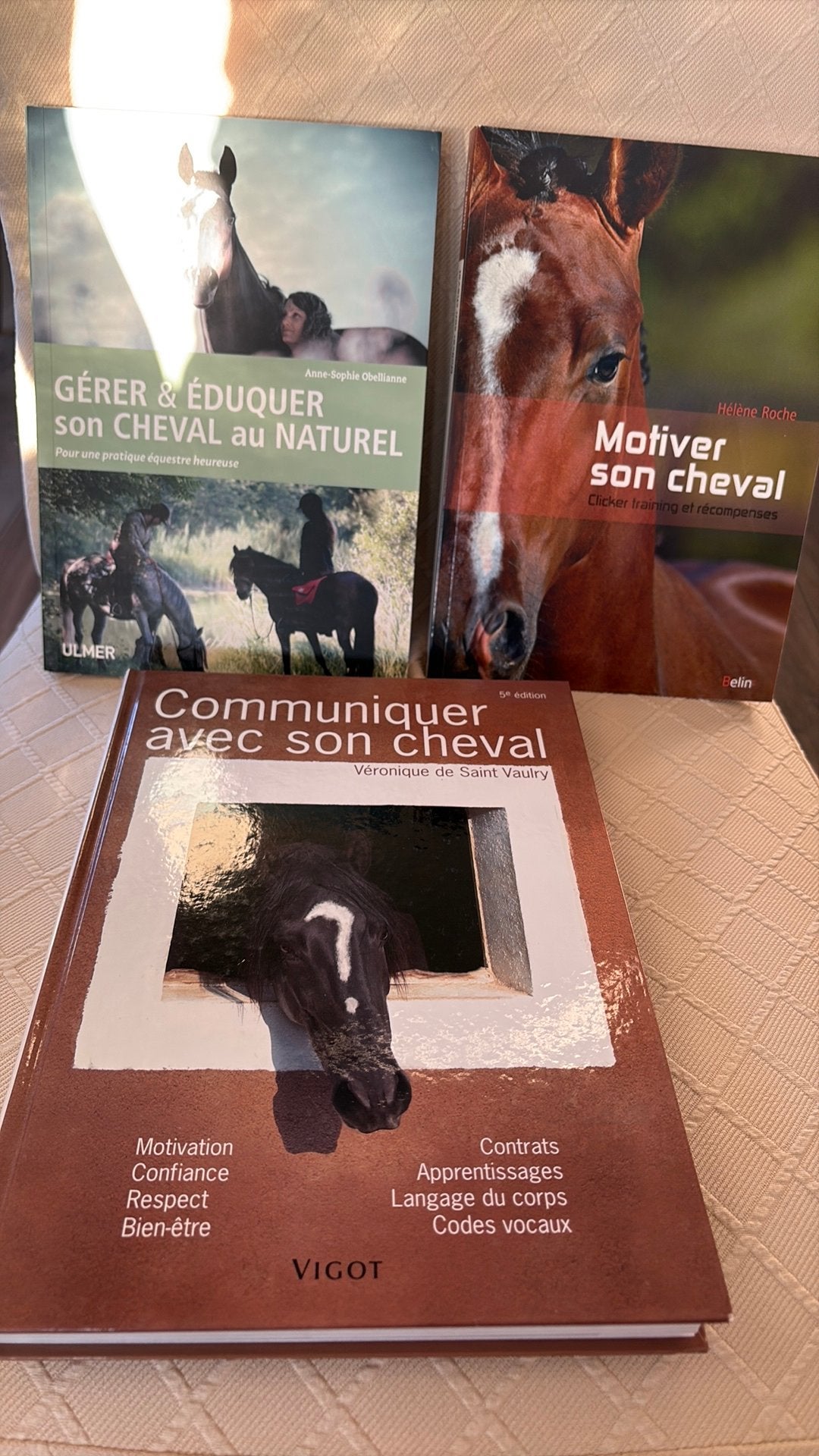 Lit 3 livres chevaux, Livres, Enlèvement, Comme neuf