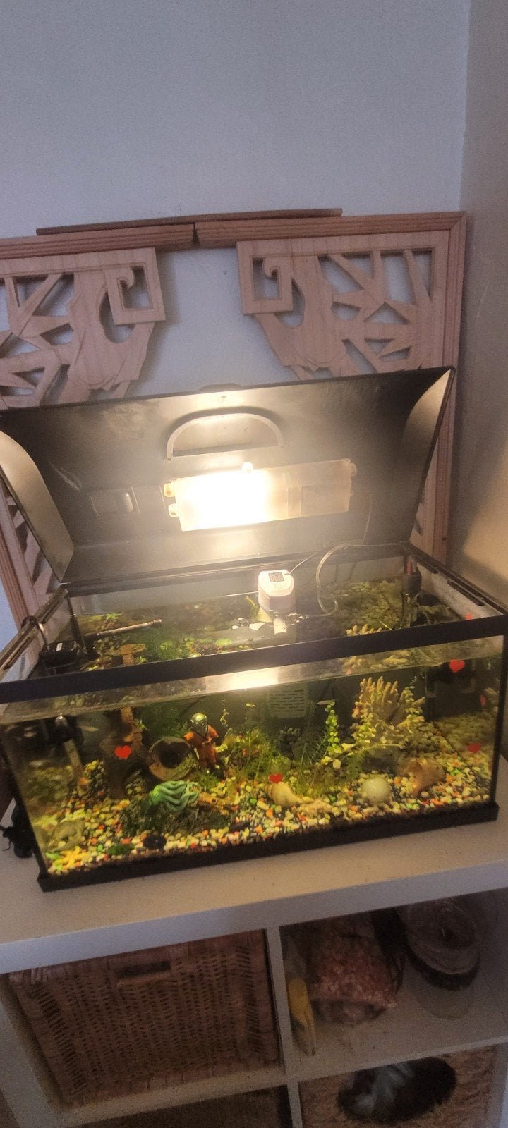 Aquarium met meer dan 30+vissen, Ophalen, Zo goed als nieuw, Aquariummeubel