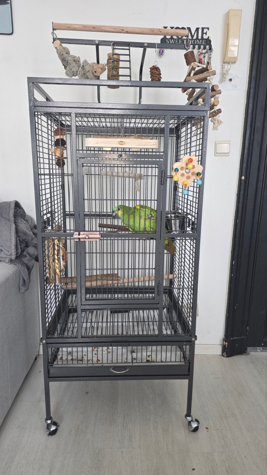 cage perroquet nouvelle facture a l'appui, Animaux & Accessoires, Enlèvement