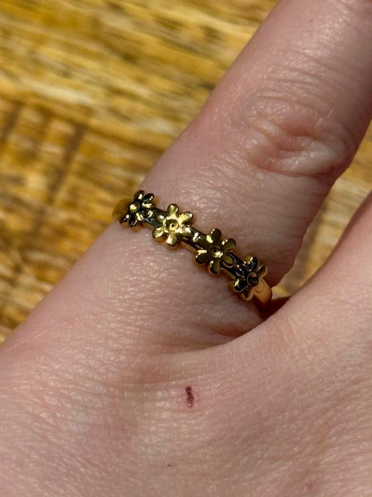 Nieuwe verstelbare RVS ring, Bijoux, Sacs & Beauté, Bagues, Neuf, Enlèvement ou Envoi, Femme, Fer ou Acier