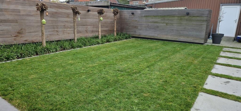 Tuin en kluswerken, Diensten en Vakmensen, Tuinmannen en Stratenmakers, Tuin- of Vijveraanleg, Tuinonderhoud of Snoeiwerk, Tuinontwerp