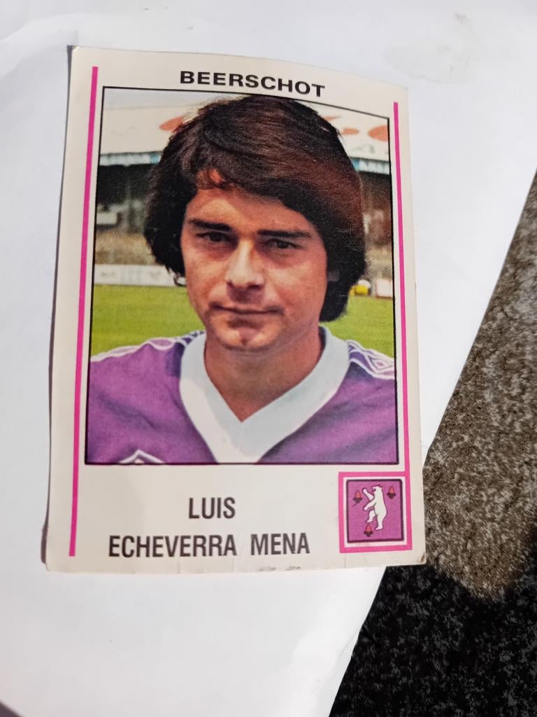 Panini voetbal België 1980, Verzamelen, Ophalen of Verzenden, Zo goed als nieuw