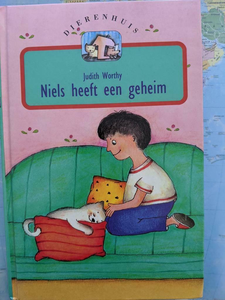 Boek: Niels heeft een geheim, Standaard Uitgeverij, Ophalen of Verzenden, Judith Worthy