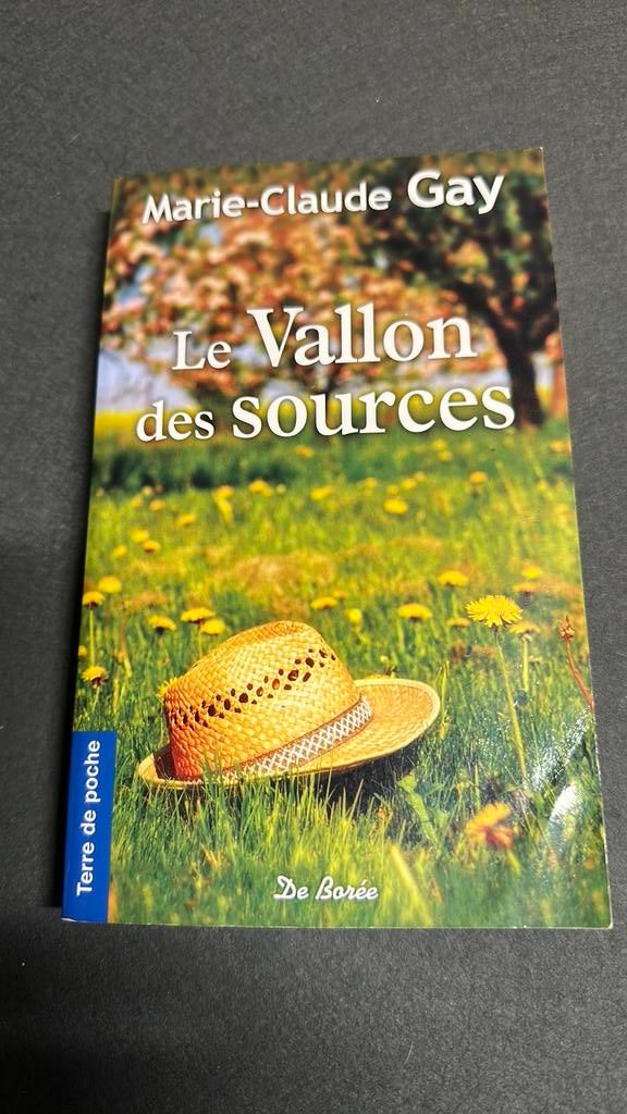 Le vallon des sources de Marie-Claude Gay, Boeken, Ophalen of Verzenden, Zo goed als nieuw