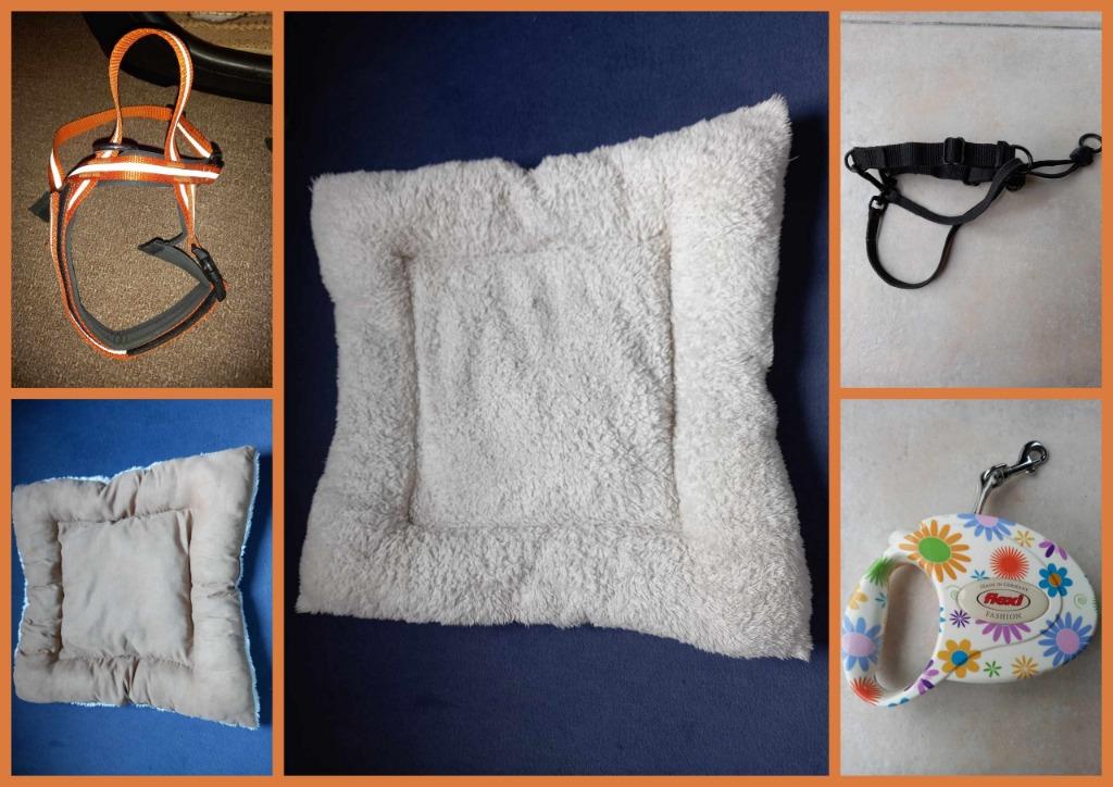 Accessoires chien, coussin, collier, harnais, laisse, Enlèvement ou Envoi, Utilisé