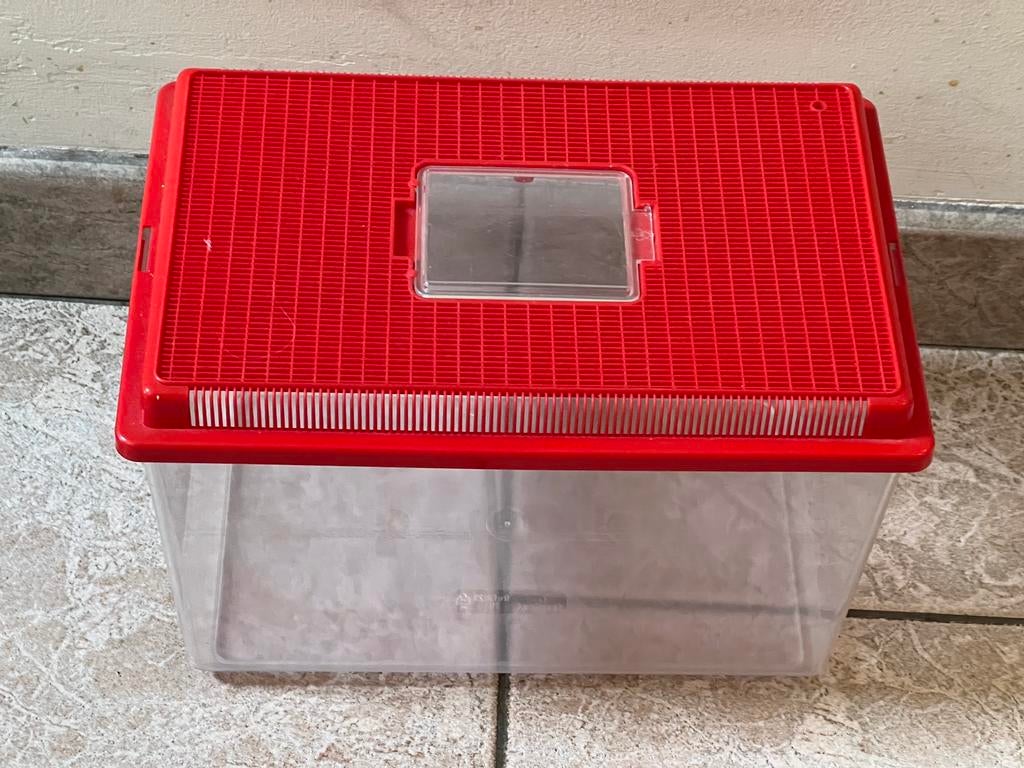 Kunststof bak met deksel voor insekten of vissen, Dieren en Toebehoren, Ophalen, Gebruikt