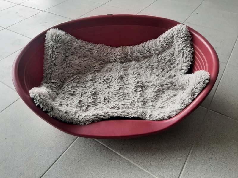 Panier pour chien, Enlèvement, Utilisé, Polyester