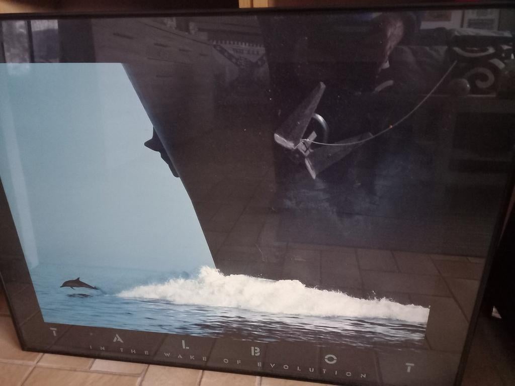 Boot met dolfijn, Enlèvement, Utilisé