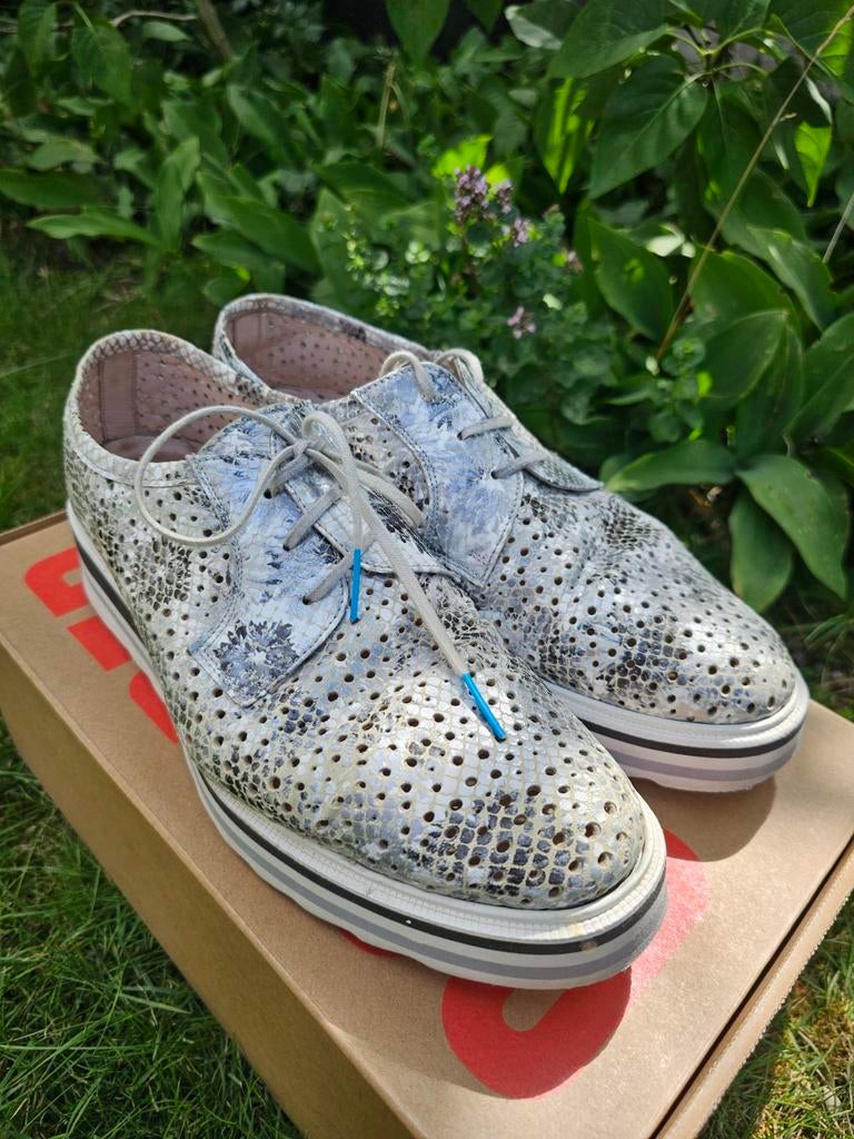 Veterschoenen Pertini, Kleding | Dames, Schoenen, Pertini, Ophalen of Verzenden, Grijs, Gedragen
