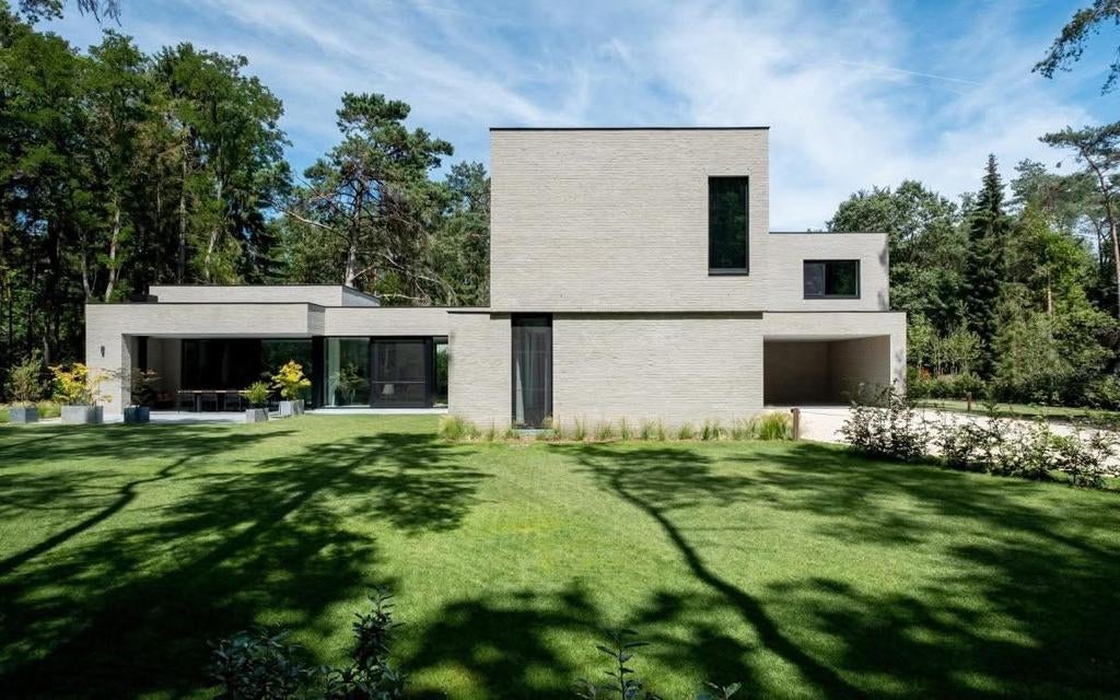 Zilvergrijze gevelstenen, Doe-het-zelf en Bouw, Metselstenen, Ophalen of Verzenden