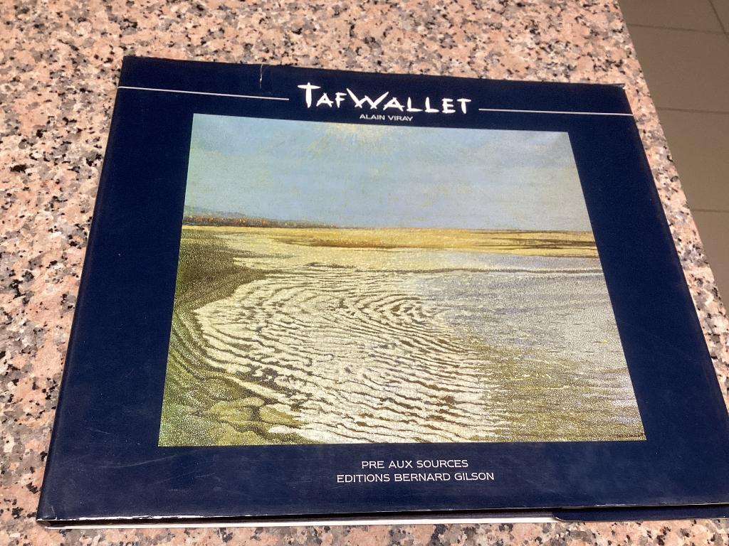 Kunstboek TAF WALLET. Alain Viray, Ophalen of Verzenden, Gelezen, Schilder- en Tekenkunst